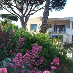  Appartement Coeur Sur Mer
